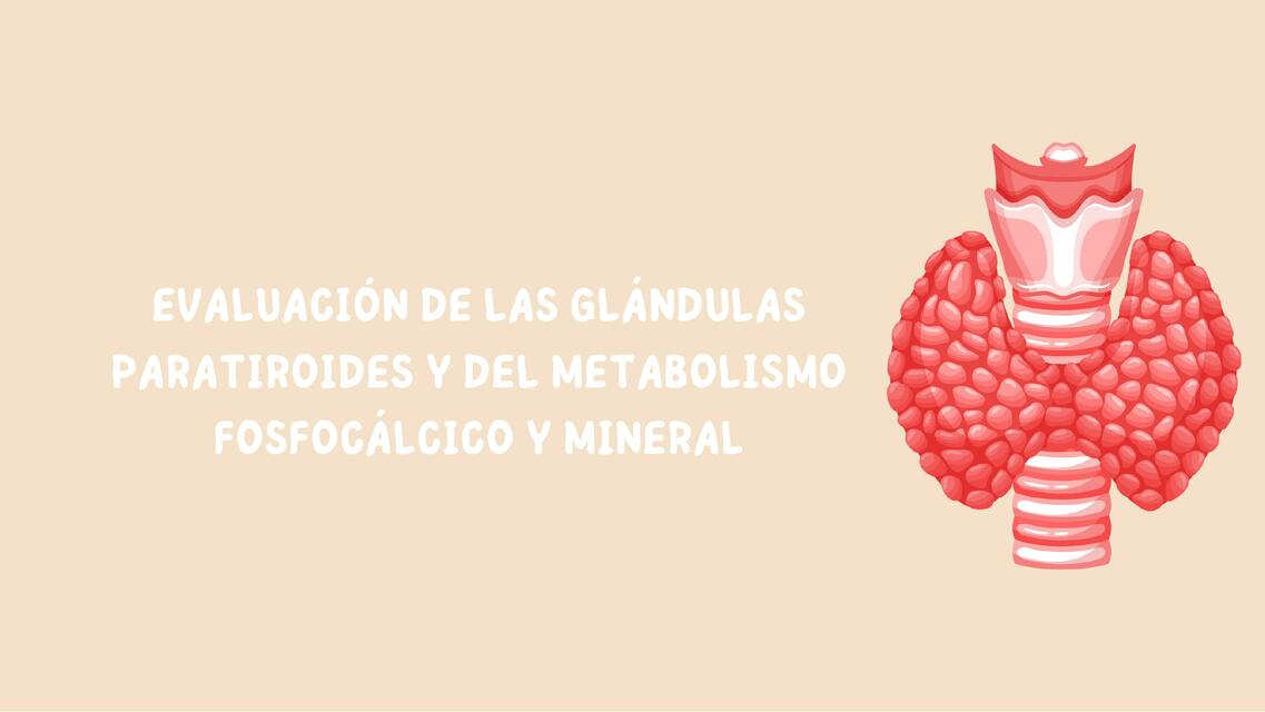 EVALUACIÓN DE LAS GLÁNDULAS PARATIROIDES