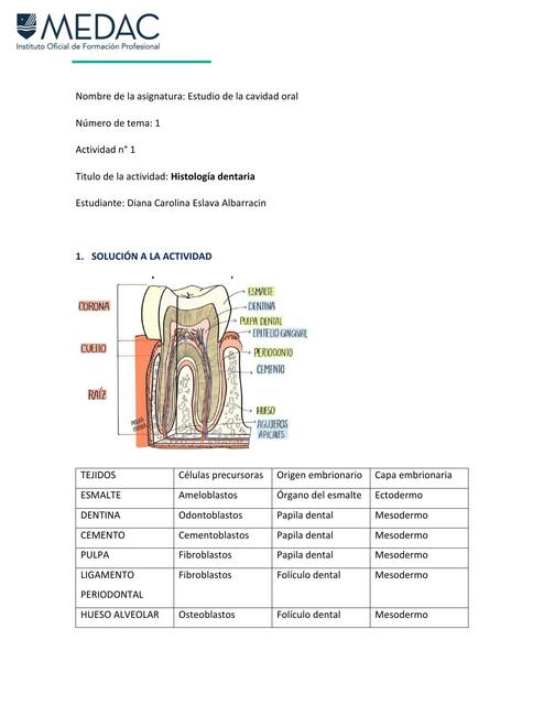 Histología dentaria