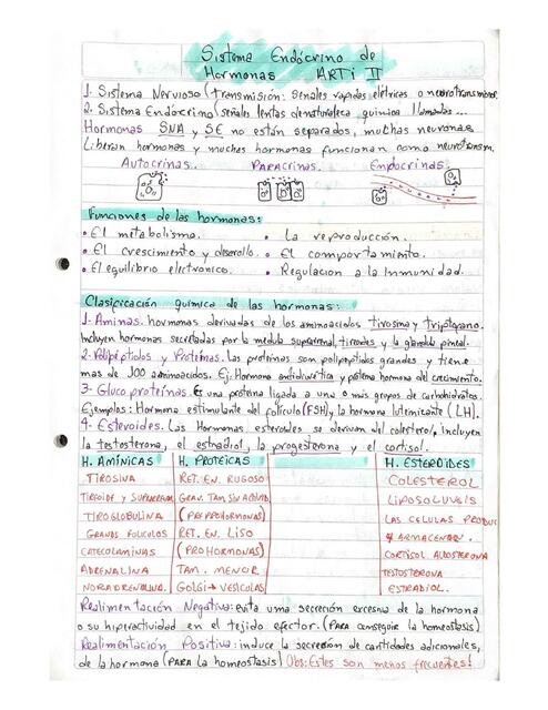 SISTEMA ENDOCRINO HORMONAL