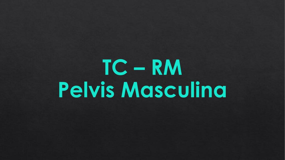 TC PELVIS MASCULINA