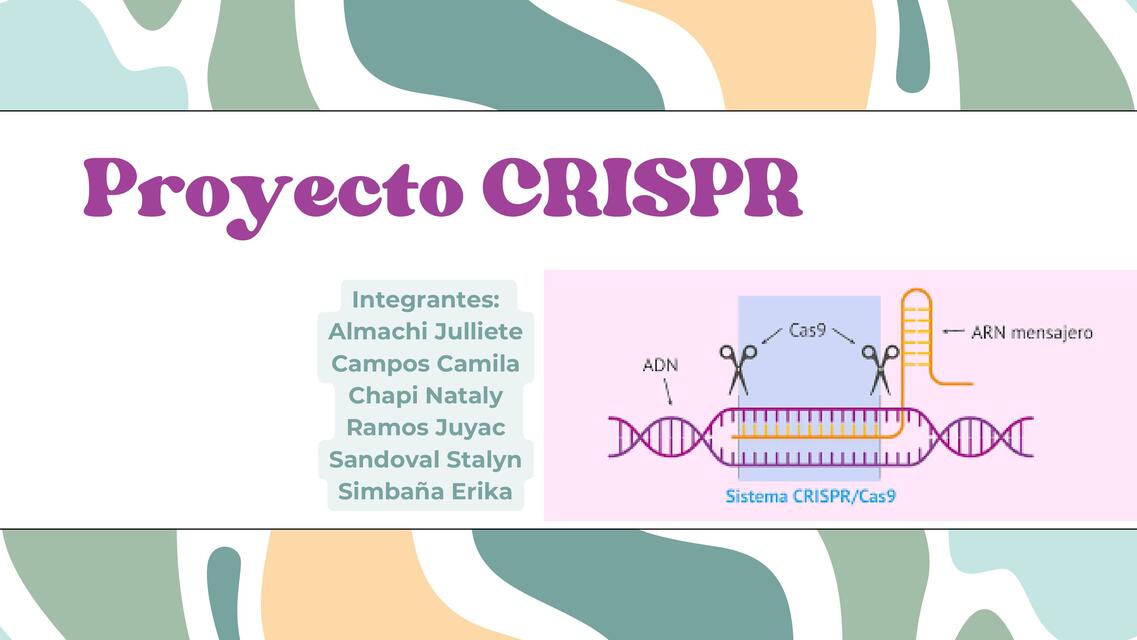 Proyecto CRISPR 1