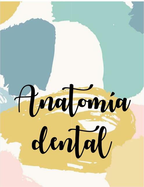 Anatomía dental 