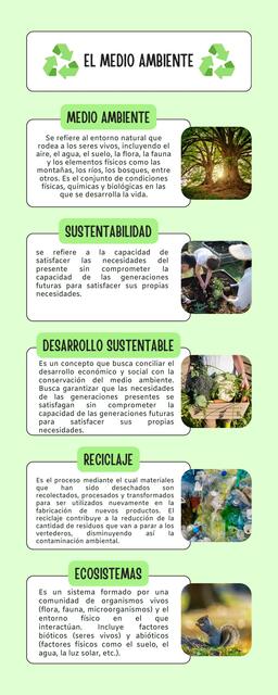 El Medio Ambiente