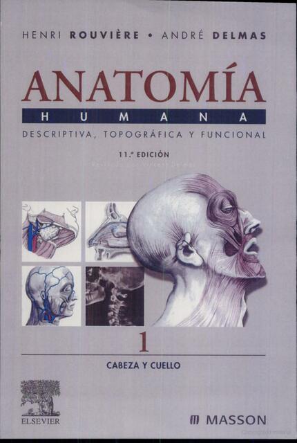 Anatomía humana Descriptiva topográfica y funcional 