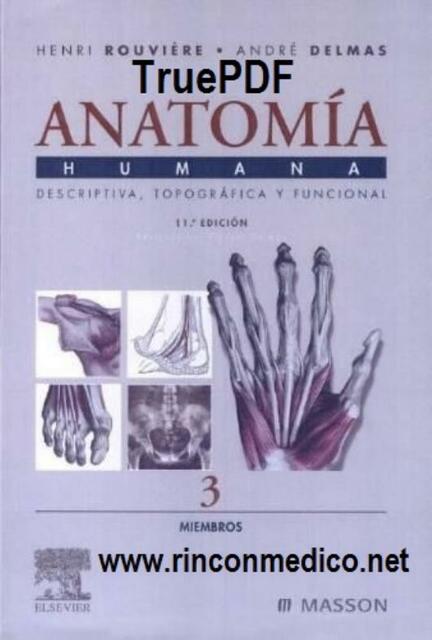 Anatomía Humana Descriptiva, topográfica y funcional. Tomo 3.Miembros 11.ª ed.