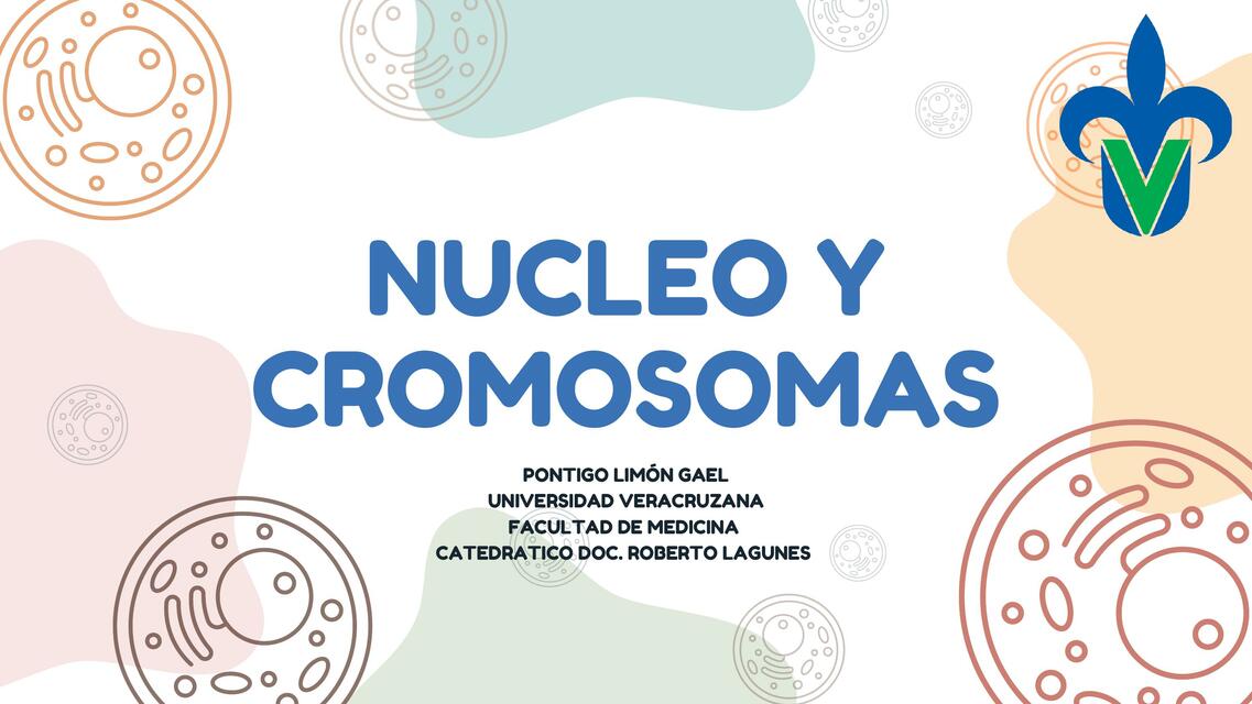 Núcleo y cromosomas