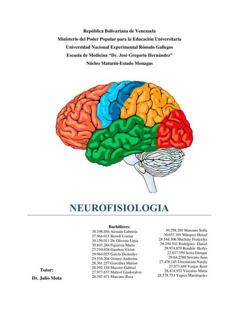 Neurofisologia