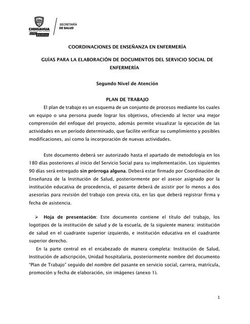 Guía para la elaboración de documentos del servicio social de enfermeria 