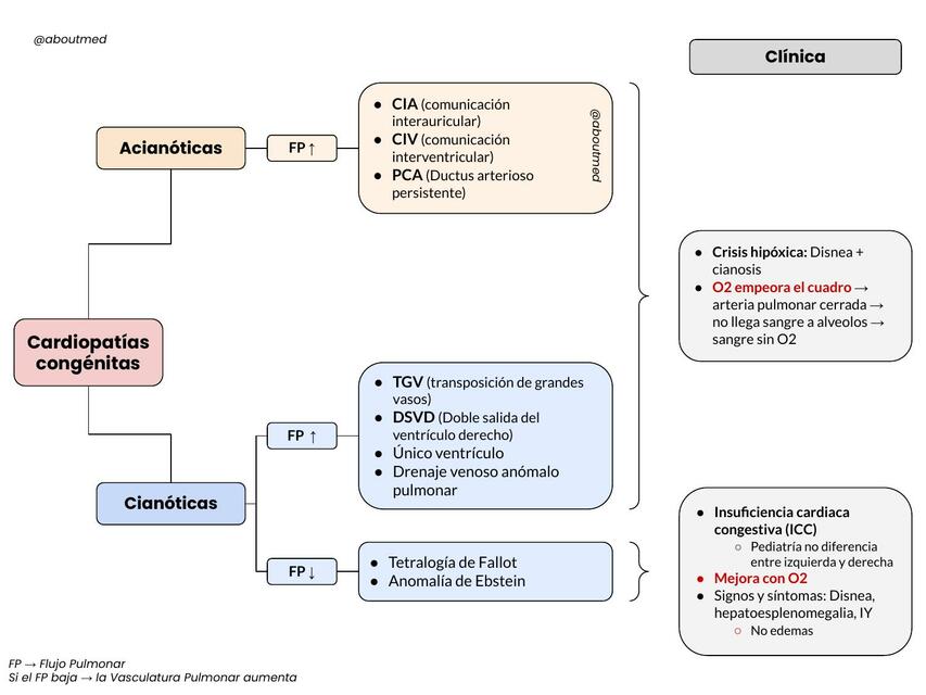 Cardiopatías Congénitas