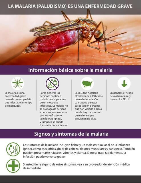 Malaria Serious Disease 