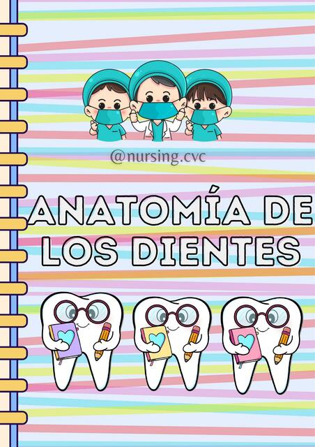 ANATOMÍA DE LOS DIENTES