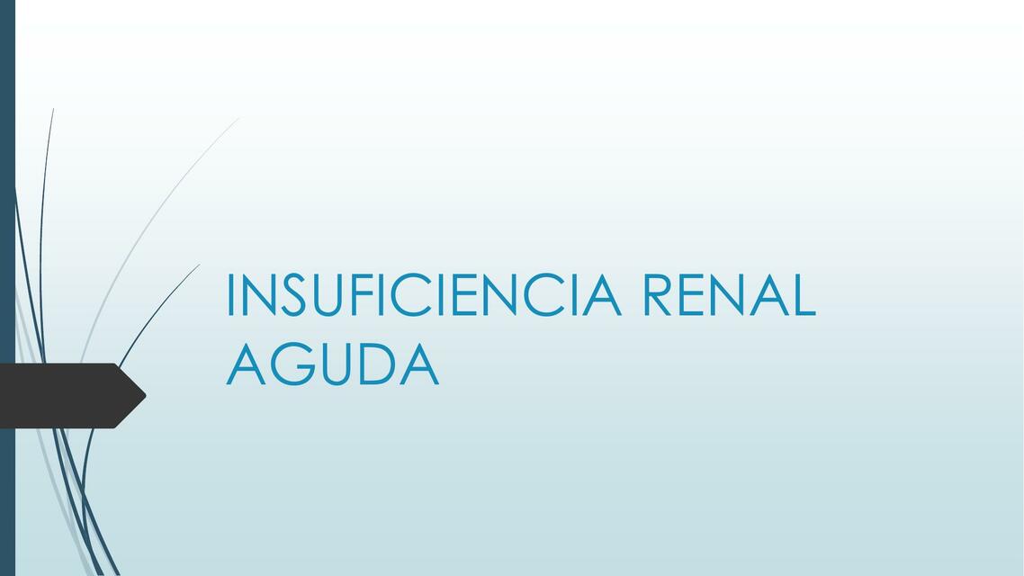 INSUFICIENCIA RENAL AGUDA