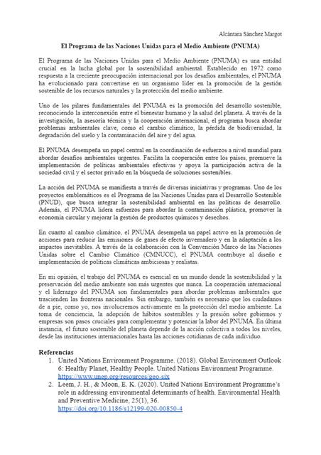 Flashcards de El Programa de las Naciones Unidas para el Medio Ambiente ...