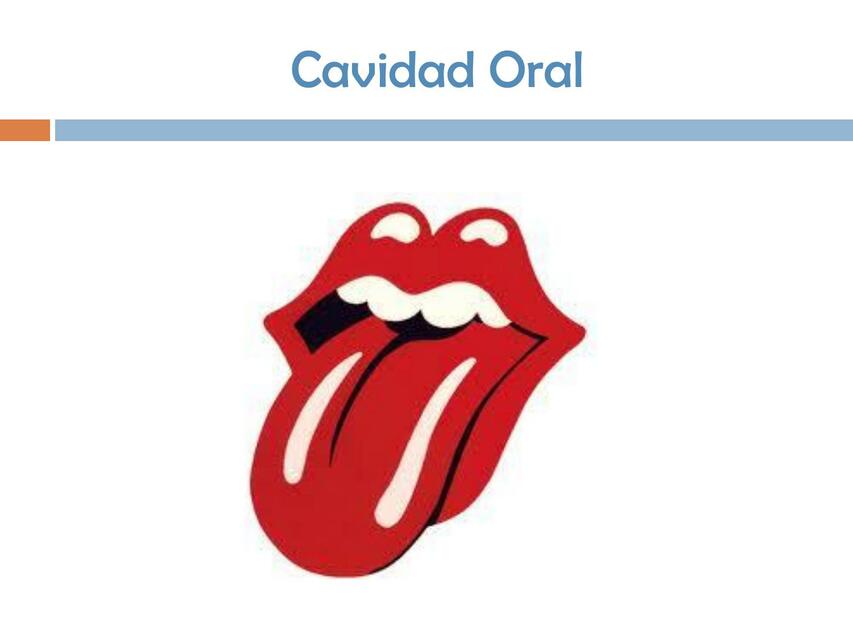 Cavidad bucal