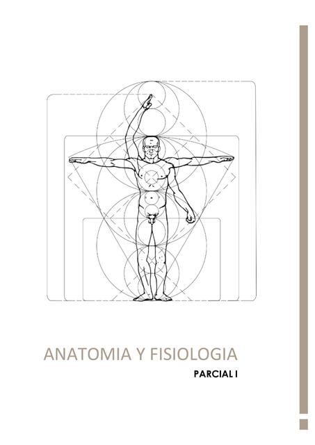 Anatomía y Fisiología 