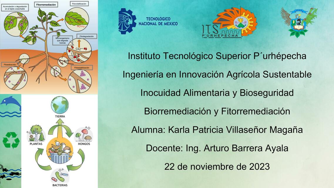 Biorremediación y Fitorremediación