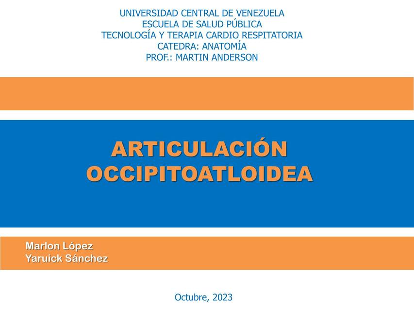 Articulación occipitoatloidea