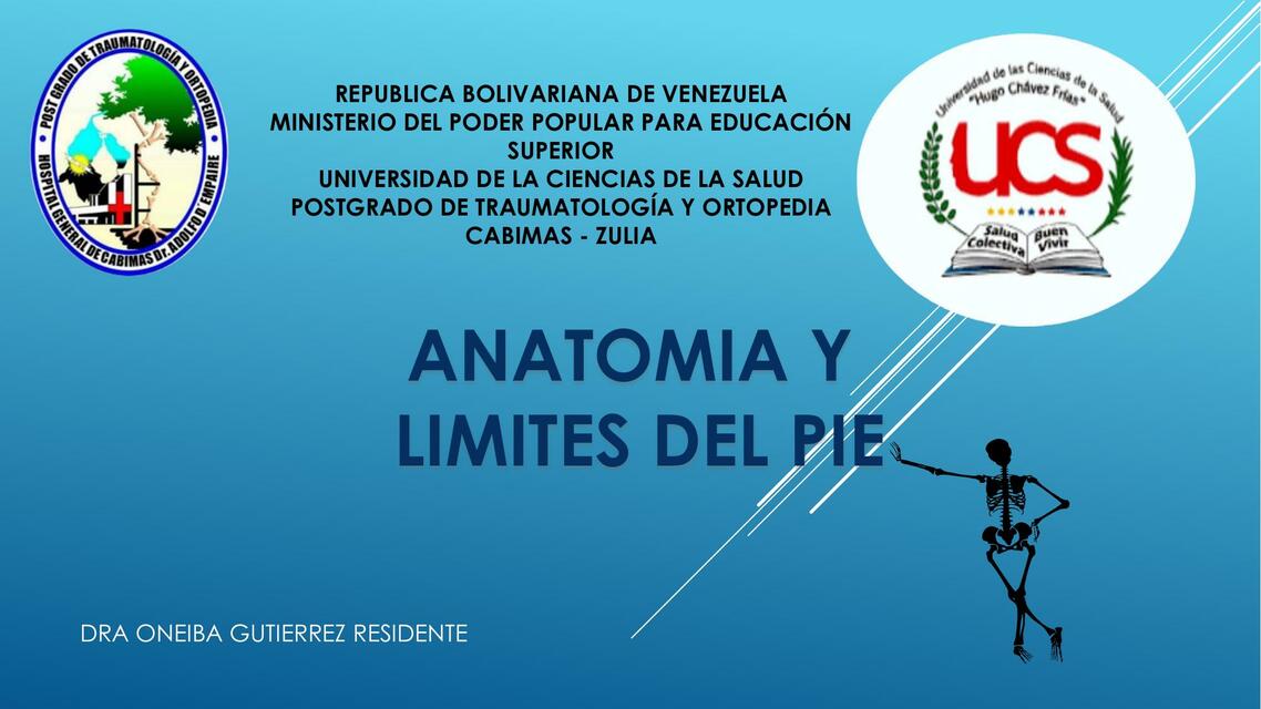 Anatomía y limites del pie 