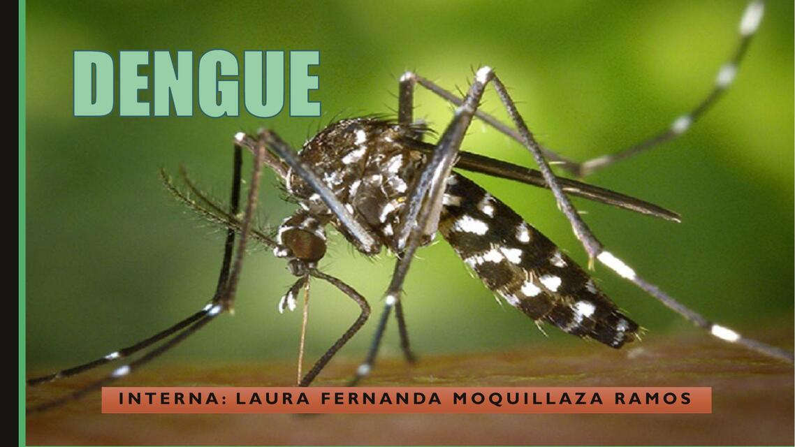 Dengue 