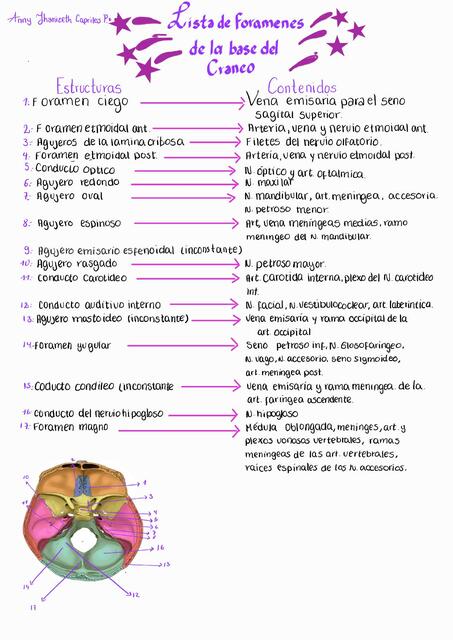 Lista de Forámenes de la Base del Cráneo 