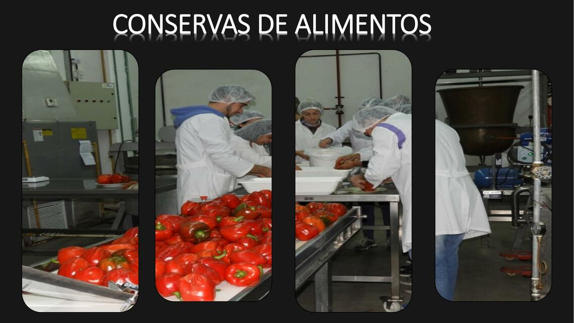 Conservas de Alimentos 