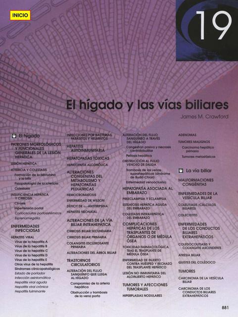  El hígado y las vías biliares