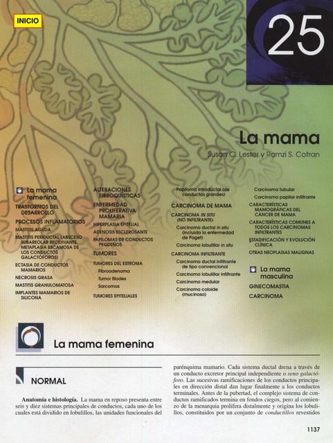  La mama