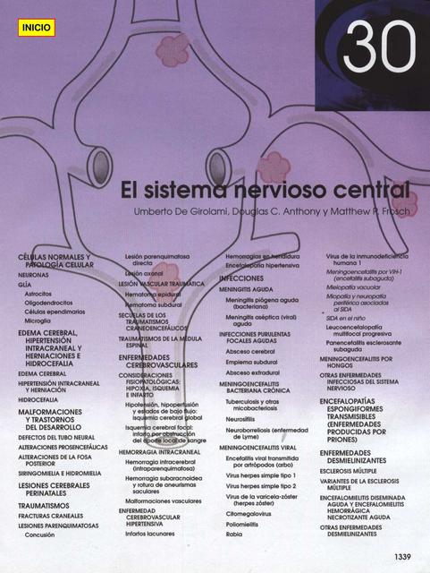 30 El sistema nervioso central