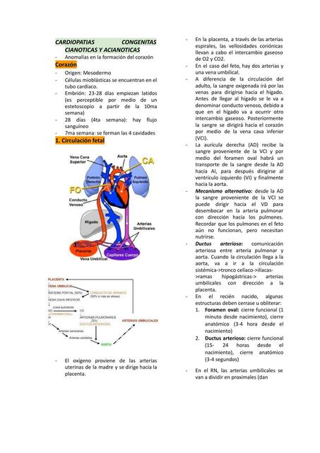 Cardiopatías congénitas cianóticas y acino ticas