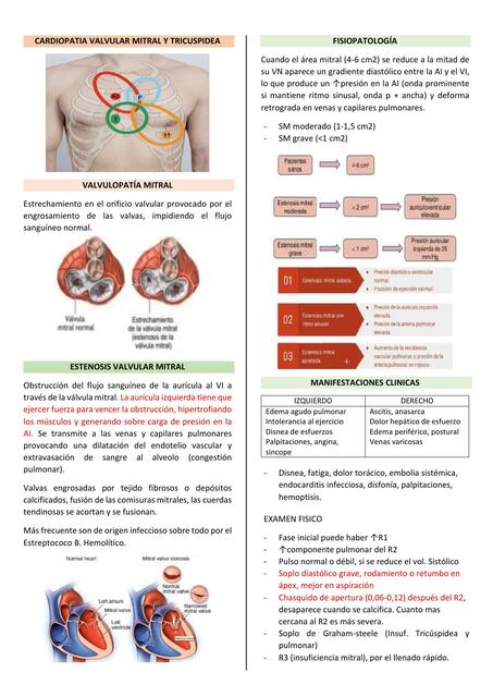 Cardiopatía valvular mitral y tricúspidea