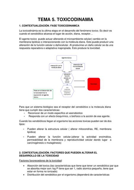 Toxicodinamia 