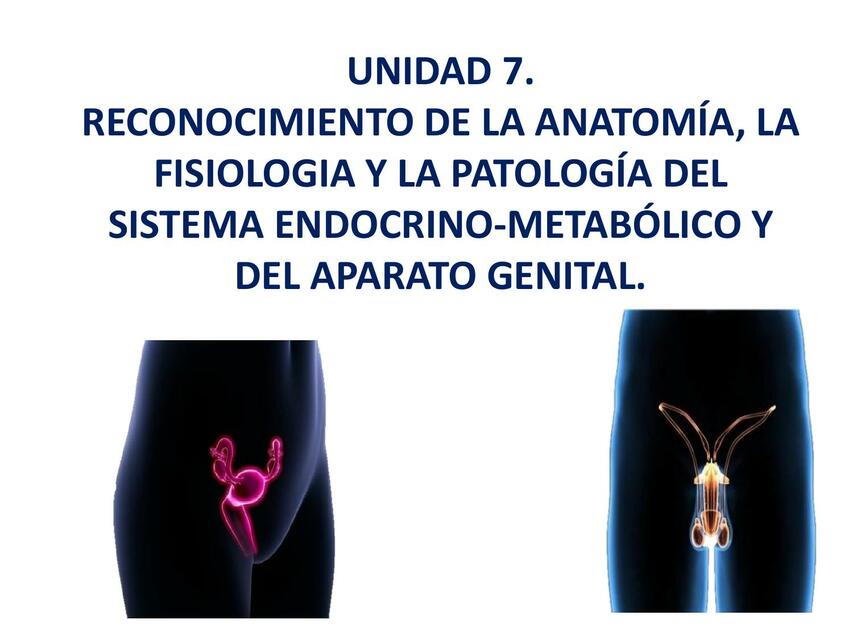 Aparato Reproductor y Sistema Endocrino