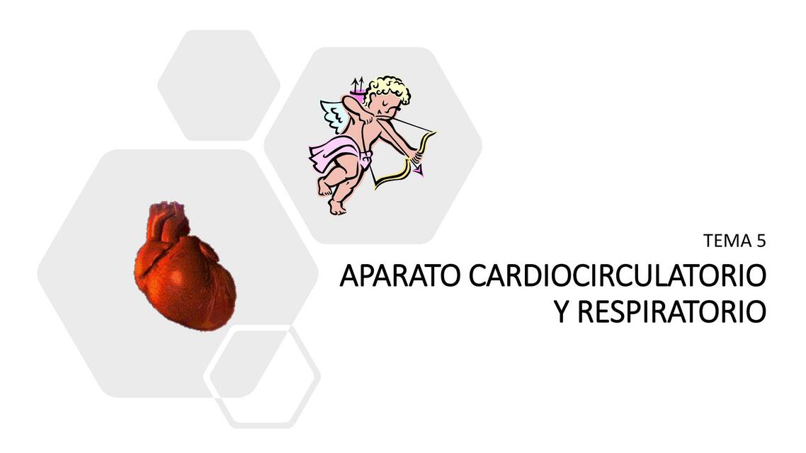 Aparato Cardiocirculatorio y Respiratorio 