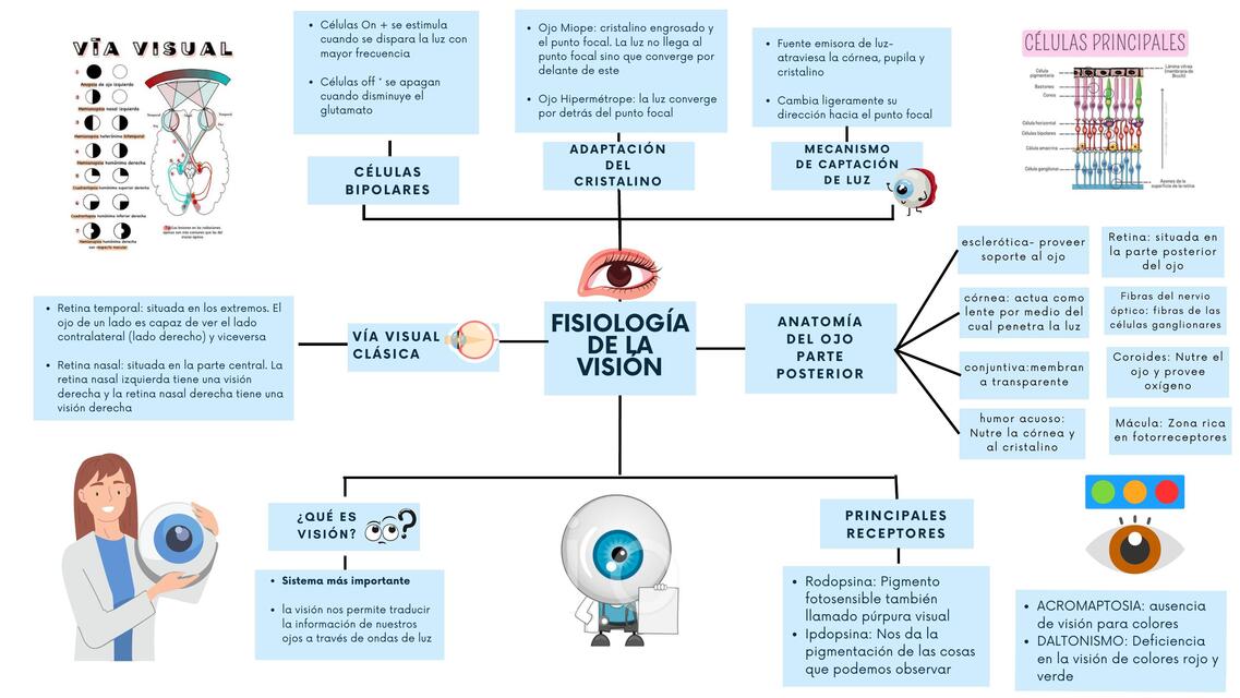 Fisiología De La Visión Mónica Torres Udocz