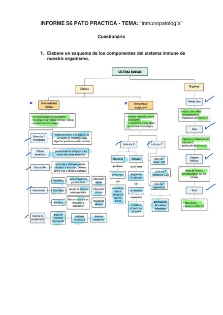 Inmunopatología 