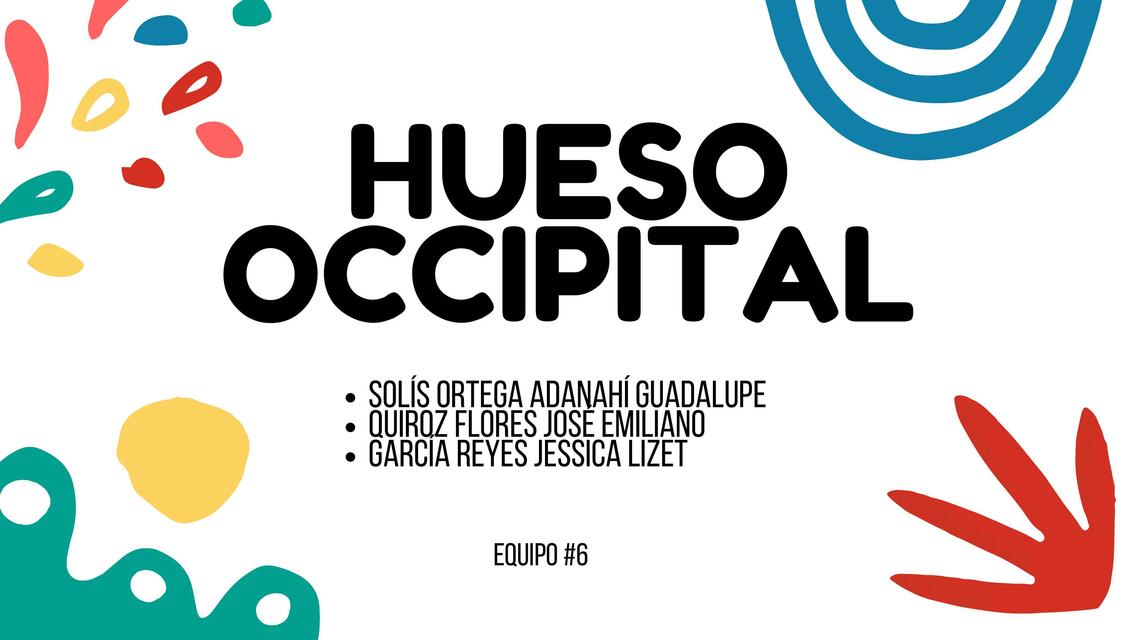 Hueso occipital