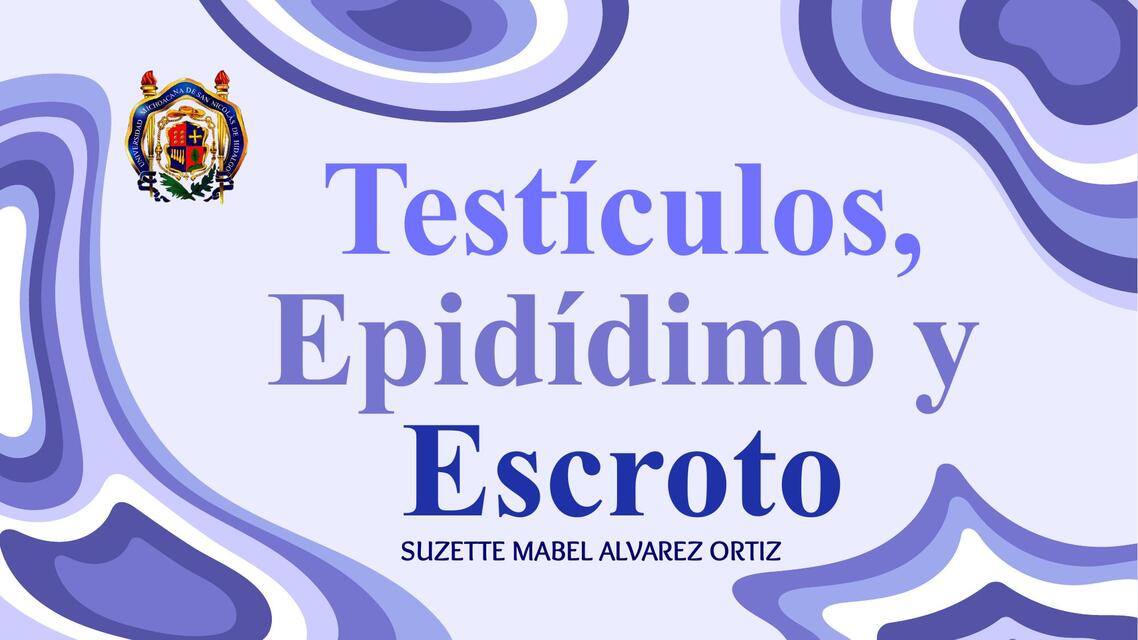 Testiculos epidídimo y escroto 