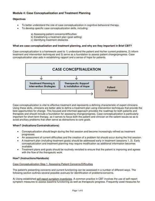 Conceptualization and Treatment Planning 