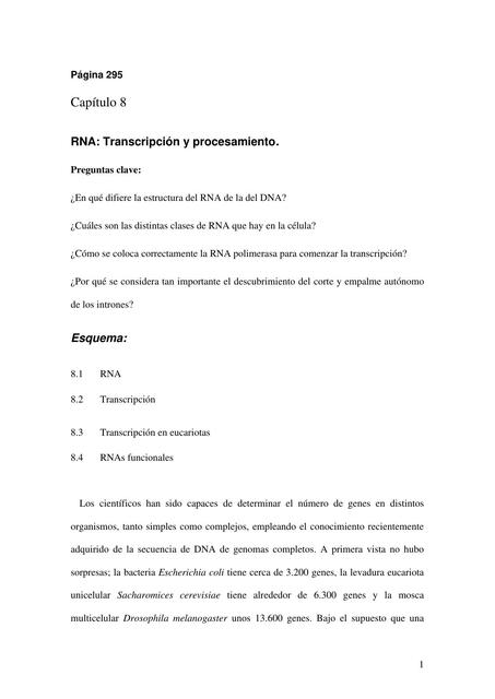 Transcripción y procesamiento