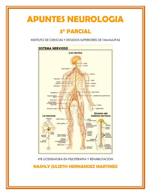 Apuntes Neurología 