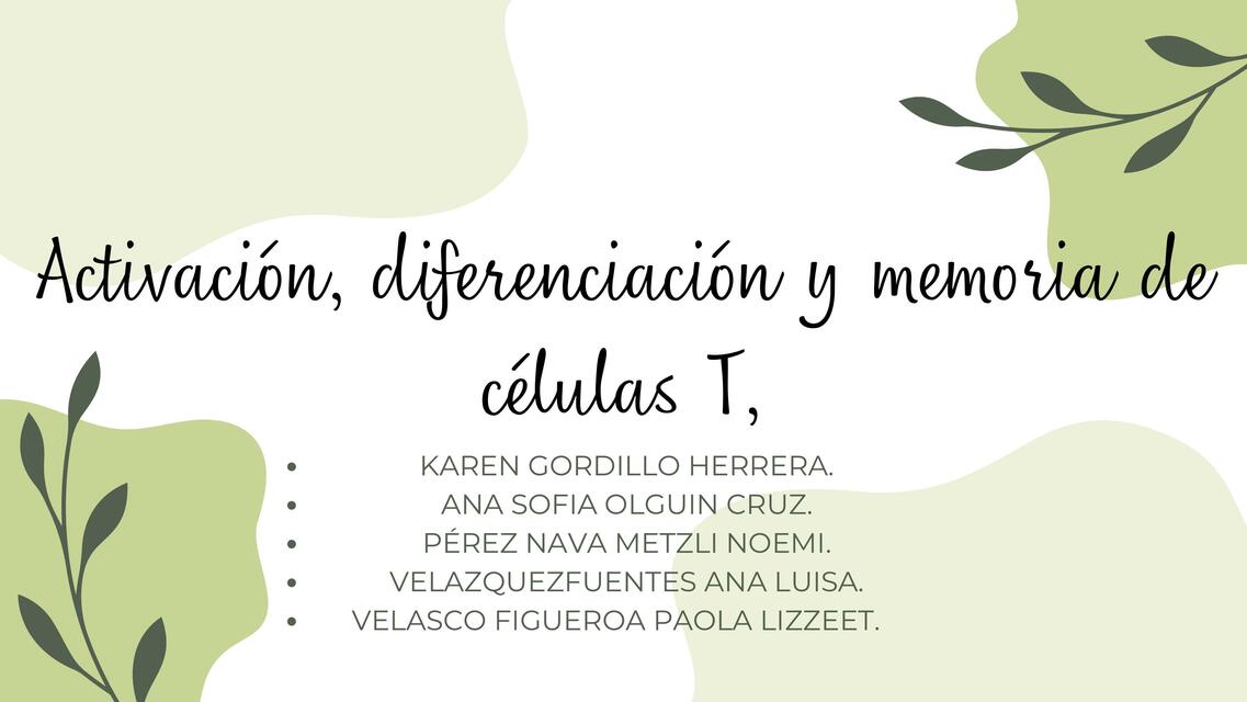 Activación, diferenciación y memoria de células T