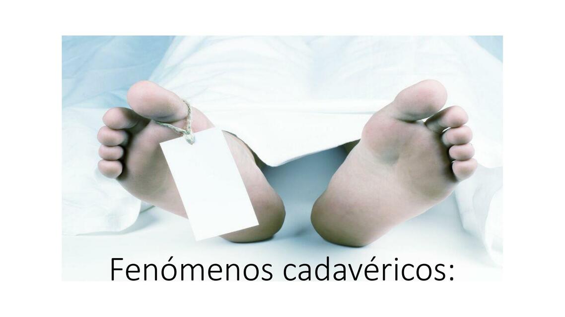 Fenómenos Cadavéricos