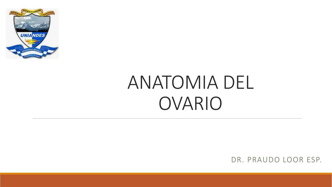 Anatomía del Ovario 