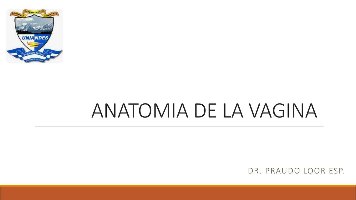 Anatomía de la Vagina 