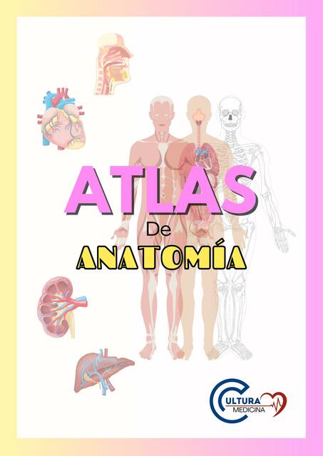 Atlas de Anatomía Humana