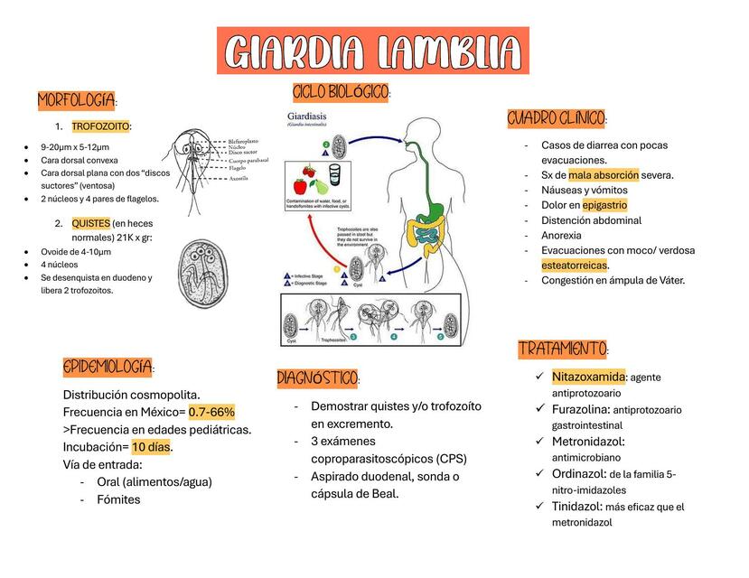 Giardia Lamblia