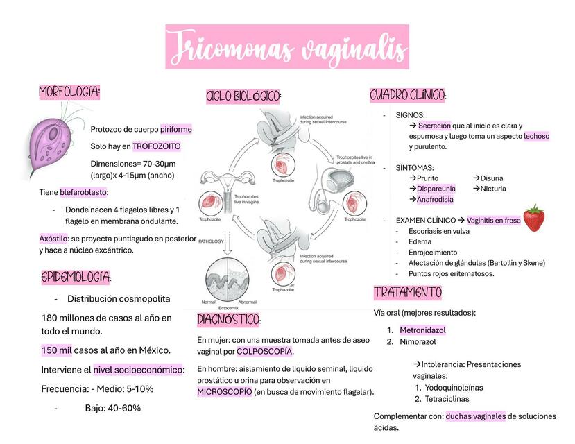 Tricomonas Vaginalis 