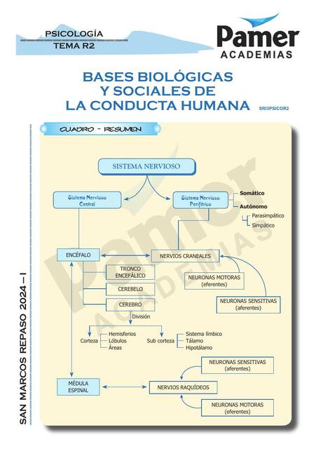 Bases Biológicas y Sociales de la Conducta Humana 