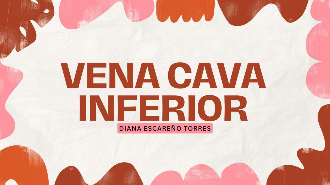 Vena Cava Inferior