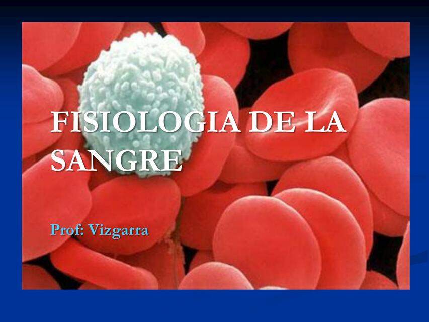 Fisiología de la Sangre